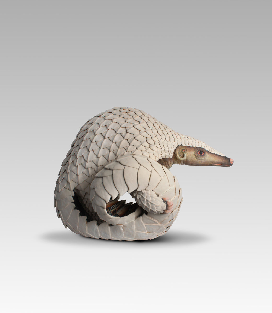 Pangolin